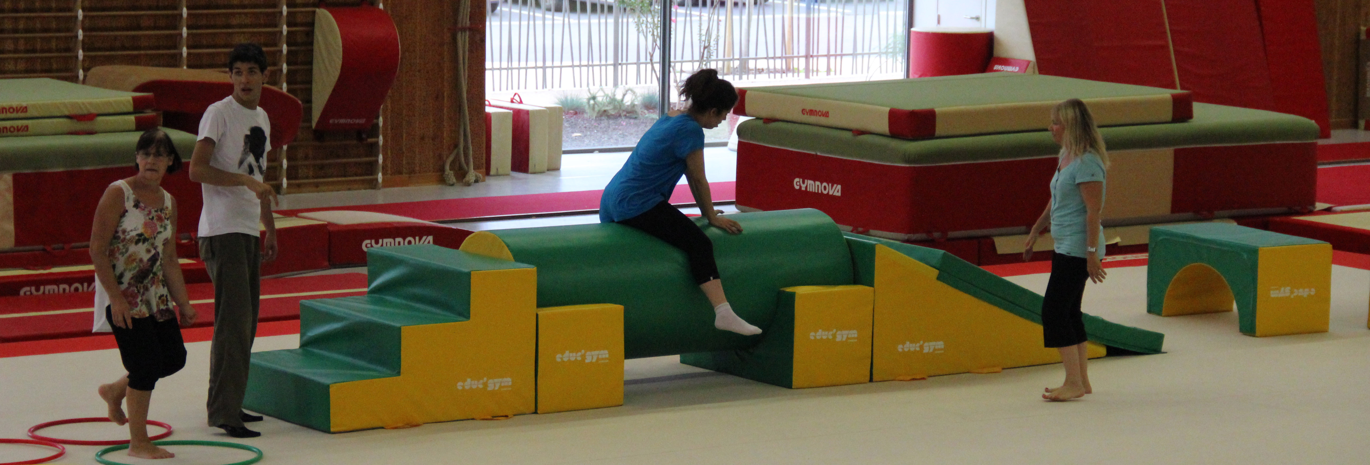 Handi-Gym Handi-Gym